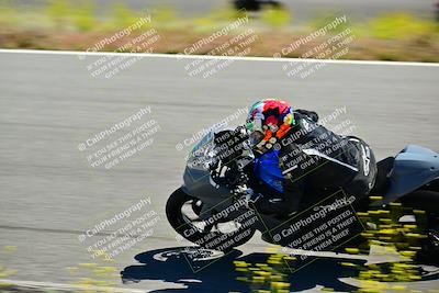 media/May-10-2024-2WTD (Fri) [[c88d7990af]]/Group B/Session 2-The Bowl/